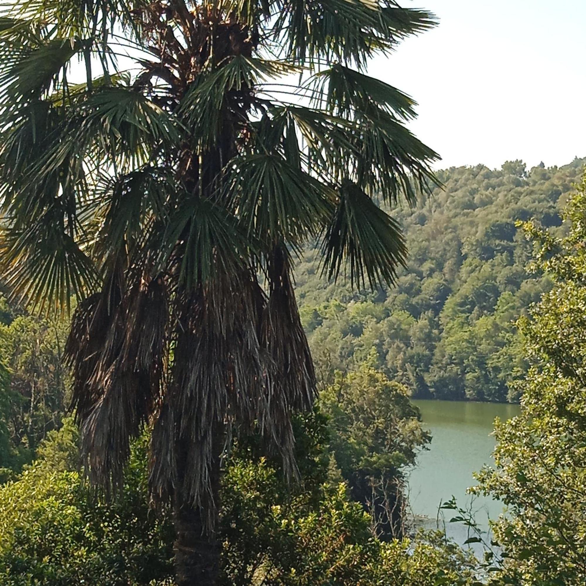 Il Canto Del Bosco Netro Exterior foto